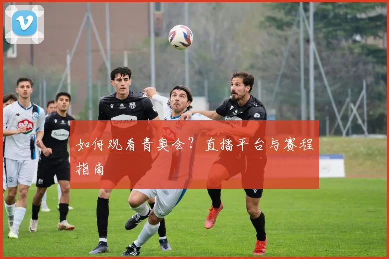如何观看青奥会？直播平台与赛程指南