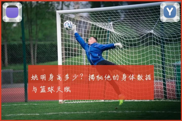 姚明身高多少？揭秘他的身体数据与篮球天赋